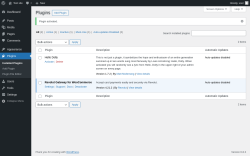 Page screenshot: Plugins ‹ Test site — WordPress