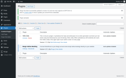 Page screenshot: Plugins ‹ Test site — WordPress