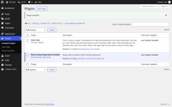 Page screenshot: Plugins &lsaquo; Test site &mdash; WordPress