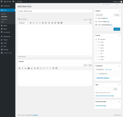 Page screenshot: Add New Post &lsaquo; Test site &mdash; WordPress