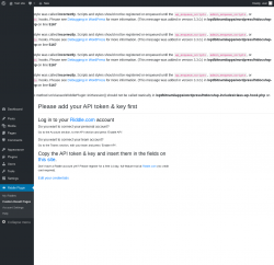 Page screenshot: Riddle Plugin → Custom Result Pages