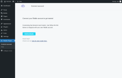 Page screenshot: Riddle Plugin