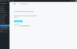 Page screenshot: Riddle Plugin