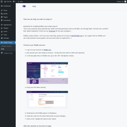 Page screenshot: Riddle Plugin → Help