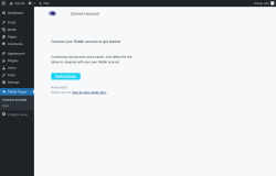 Page screenshot: Riddle Plugin