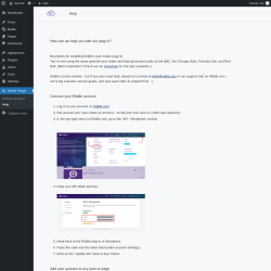 Page screenshot: Riddle Plugin → Help