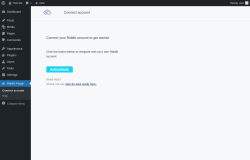 Page screenshot: Riddle Plugin