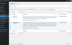 Page screenshot: Plugins &lsaquo; Test site &mdash; WordPress