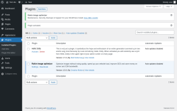 Page screenshot: Plugins &lsaquo; Test site &mdash; WordPress