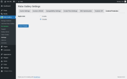 Page screenshot: Robo Gallery → Settings → Content Protection