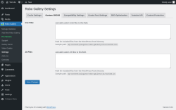 Page screenshot: Robo Gallery → Settings → Custom JS\CSS