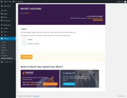 Page screenshot: Settings → Rocket LazyLoad