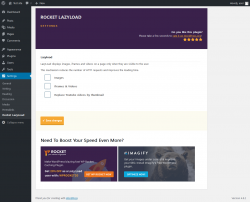 Page screenshot: Settings → Rocket LazyLoad