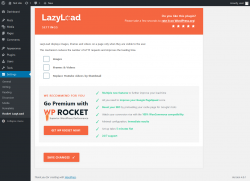 Page screenshot: Settings → Rocket LazyLoad