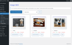 Page screenshot: Rocketship SEO &rarr;  Image SEO