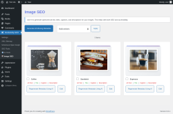 Page screenshot: Rocketship SEO &rarr;  Image SEO