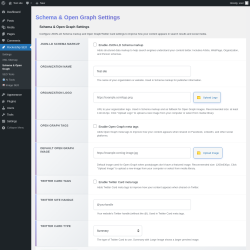 Page screenshot: Rocketship SEO &rarr; Schema & Open Graph