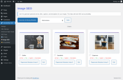 Page screenshot: Rocketship SEO &rarr;  Image SEO