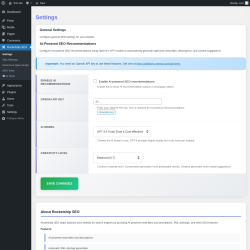 Page screenshot: Rocketship SEO