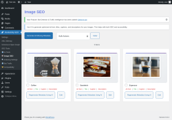 Page screenshot: Rocketship SEO &rarr;  Image SEO
