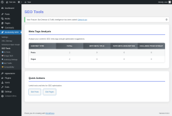 Page screenshot: Rocketship SEO &rarr; SEO Tools