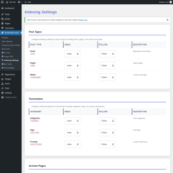 Page screenshot: Rocketship SEO &rarr;  Indexing Settings