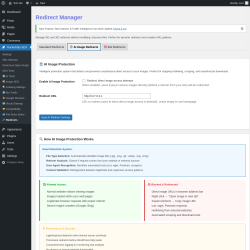 Page screenshot: Rocketship SEO &rarr;  Redirects &rarr; 
                 AI Image Redirects            