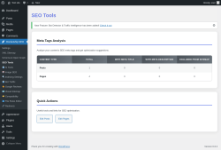 Page screenshot: Rocketship SEO &rarr; SEO Tools