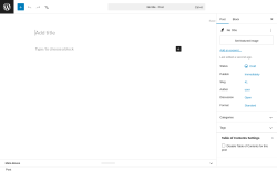 Page screenshot: Add Post &lsaquo; Test site &mdash; WordPress