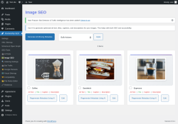 Page screenshot: Rocketship SEO &rarr; 🖼️ Image SEO
