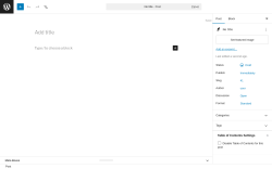 Page screenshot: Add Post &lsaquo; Test site &mdash; WordPress