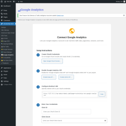 Page screenshot: Rocketship SEO &rarr; 📊 Google Analytics