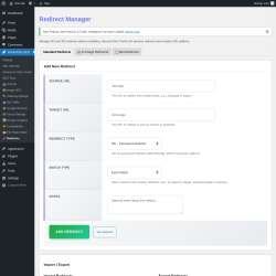 Page screenshot: Rocketship SEO &rarr; 🔗 Redirects