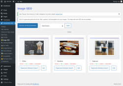 Page screenshot: Rocketship SEO &rarr; 🖼️ Image SEO