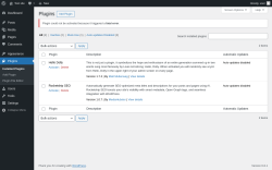 Page screenshot: Plugins &lsaquo; Test site &mdash; WordPress