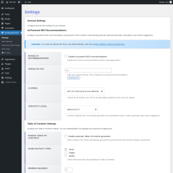 Page screenshot: Rocketship SEO