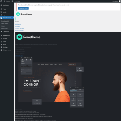 Page screenshot: RomethemeKit