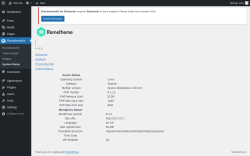 Page screenshot: RomethemeKit → System Status