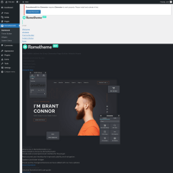 Page screenshot: RomethemeKit
