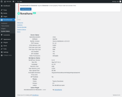 Page screenshot: RomethemeKit → System Status