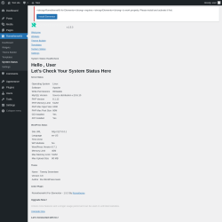 Page screenshot: RomethemeKit → System Status