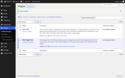 Page screenshot: Plugins &lsaquo; Test site &mdash; WordPress