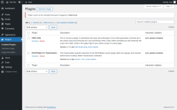 Page screenshot: Plugins &lsaquo; Test site &mdash; WordPress