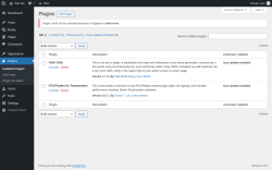 Page screenshot: Plugins &lsaquo; Test site &mdash; WordPress