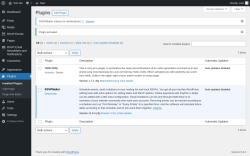 Page screenshot: Plugins ‹ Test site — WordPress