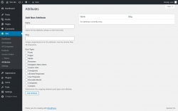 Page screenshot: rtBiz → Attributes