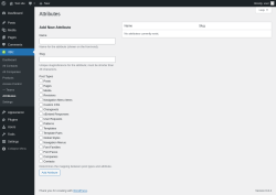 Page screenshot: rtBiz → Attributes