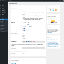 Page screenshot: Settings → rtSocial Options