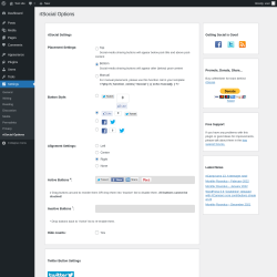 Page screenshot: rtSocial Options Page ‹ Test site — WordPress