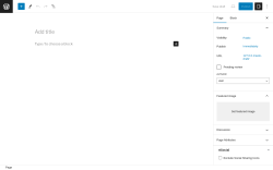 Page screenshot: Add New Page ‹ Test site — WordPress